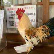 ヒメ日記 2025/07/12 10:28 投稿 内山歩美(あゆみ) 東京不倫～とうきょうふりん～