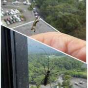 ヒメ日記 2025/07/16 22:18 投稿 内山歩美(あゆみ) 東京不倫～とうきょうふりん～