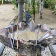 ヒメ日記 2025/07/23 11:53 投稿 内山歩美(あゆみ) 東京不倫～とうきょうふりん～