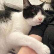 ヒメ日記 2025/09/01 15:38 投稿 内山歩美(あゆみ) 東京不倫～とうきょうふりん～