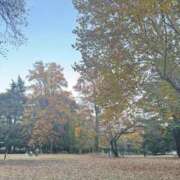 ヒメ日記 2025/11/19 15:58 投稿 内山歩美(あゆみ) 東京不倫～とうきょうふりん～