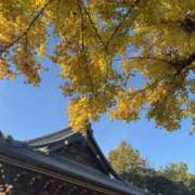 ヒメ日記 2025/11/25 13:48 投稿 内山歩美(あゆみ) 東京不倫～とうきょうふりん～