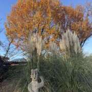 ヒメ日記 2025/12/10 23:38 投稿 内山歩美(あゆみ) 東京不倫～とうきょうふりん～