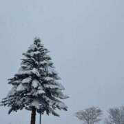 ヒメ日記 2026/01/22 22:58 投稿 内山歩美(あゆみ) 東京不倫～とうきょうふりん～