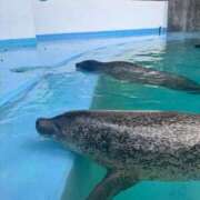 ヒメ日記 2026/03/26 23:48 投稿 内山歩美(あゆみ) 東京不倫～とうきょうふりん～