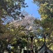 ヒメ日記 2026/04/03 15:08 投稿 内山歩美(あゆみ) 東京不倫～とうきょうふりん～