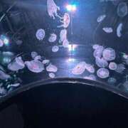 ヒメ日記 2025/07/04 13:50 投稿 めるるは今日も絶好調‼️ グッドスマイル