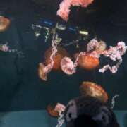 ヒメ日記 2025/07/22 21:43 投稿 めるるは今日も絶好調‼️ グッドスマイル