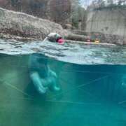 ヒメ日記 2026/02/09 15:08 投稿 めるるは今日も絶好調‼️ グッドスマイル