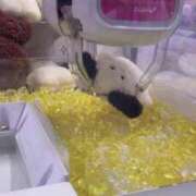 ヒメ日記 2026/03/20 18:04 投稿 じゅりな デリス新宿