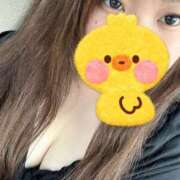 ヒメ日記 2025/06/14 15:10 投稿 ねね 愛知三河安城岡崎ちゃんこ