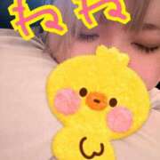 ヒメ日記 2025/06/18 21:00 投稿 ねね 愛知三河安城岡崎ちゃんこ