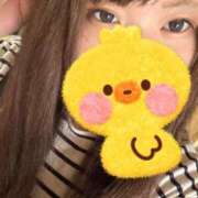 ヒメ日記 2025/06/22 11:30 投稿 ねね 愛知三河安城岡崎ちゃんこ