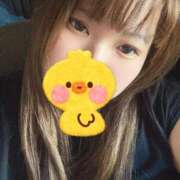 ヒメ日記 2025/06/28 15:20 投稿 ねね 愛知三河安城岡崎ちゃんこ