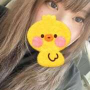 ヒメ日記 2025/06/29 18:40 投稿 ねね 愛知三河安城岡崎ちゃんこ