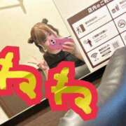 ヒメ日記 2025/07/03 09:54 投稿 ねね 愛知三河安城岡崎ちゃんこ