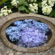 ヒメ日記 2025/06/17 13:48 投稿 藤木(ふじき) 相模原人妻城