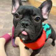 ヒメ日記 2025/07/08 13:30 投稿 藤木(ふじき) 相模原人妻城