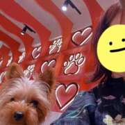 ヒメ日記 2025/08/04 19:06 投稿 藤木(ふじき) 相模原人妻城