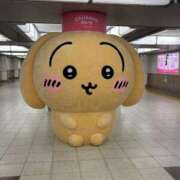 ヒメ日記 2025/08/04 22:36 投稿 藤木(ふじき) 相模原人妻城