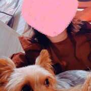 ヒメ日記 2025/09/01 21:51 投稿 藤木(ふじき) 相模原人妻城