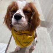 ヒメ日記 2025/09/02 23:15 投稿 藤木(ふじき) 相模原人妻城