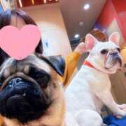 ヒメ日記 2025/12/05 15:48 投稿 藤木(ふじき) 相模原人妻城