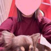 ヒメ日記 2025/12/08 11:48 投稿 藤木(ふじき) 相模原人妻城