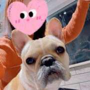 ヒメ日記 2025/12/13 11:33 投稿 藤木(ふじき) 相模原人妻城