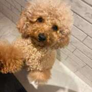 ヒメ日記 2025/12/13 19:48 投稿 藤木(ふじき) 相模原人妻城