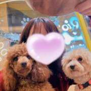 ヒメ日記 2025/12/14 20:24 投稿 藤木(ふじき) 相模原人妻城