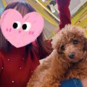 ヒメ日記 2025/12/15 23:03 投稿 藤木(ふじき) 相模原人妻城