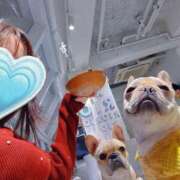 ヒメ日記 2025/12/24 13:18 投稿 藤木(ふじき) 相模原人妻城