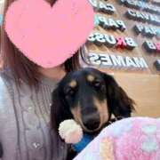 藤木(ふじき) お久しぶり〜(^o^) 相模原人妻城