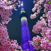 ヒメ日記 2026/03/02 23:18 投稿 藤木(ふじき) 相模原人妻城