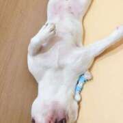 ヒメ日記 2026/03/07 01:33 投稿 藤木(ふじき) 相模原人妻城