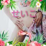 ヒメ日記 2025/06/17 11:51 投稿 せいこ 鹿児島ちゃんこ 天文館店