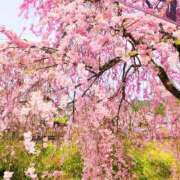 ヒメ日記 2026/04/17 17:34 投稿 ゆき♡濃密Fと寝バック素股腰砕き 富山インターちゃんこ