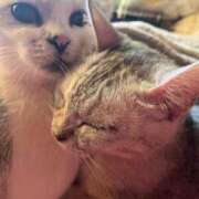 ヒメ日記 2025/07/10 09:39 投稿 あすか 素人ぶっかけ〇〇取手店