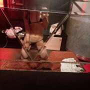 ヒメ日記 2025/09/07 10:16 投稿 らん THE ESUTE HOUSE 柴田