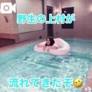 ヒメ日記 2025/06/14 11:24 投稿 上村(かみむら)あさみ 鶯谷デッドボール