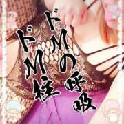 ヒメ日記 2025/09/14 18:19 投稿 上村(かみむら)あさみ 鶯谷デッドボール