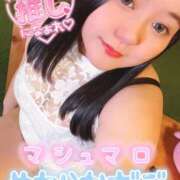 ヒメ日記 2026/04/18 17:15 投稿 上村(かみむら)あさみ 鶯谷デッドボール