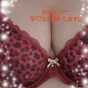 ゆいか おはようー！ 宮城大崎古川ちゃんこ