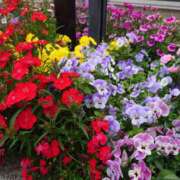 ヒメ日記 2025/06/20 08:12 投稿 木場 人妻風俗チャンネル