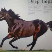 ヒメ日記 2025/08/08 07:14 投稿 木場 人妻風俗チャンネル