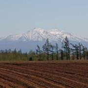 ヒメ日記 2025/08/21 05:57 投稿 木場 人妻風俗チャンネル