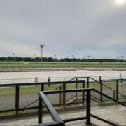 ヒメ日記 2025/10/13 08:02 投稿 木場 人妻風俗チャンネル