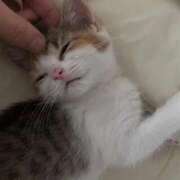 ヒメ日記 2026/02/17 23:19 投稿 久慈りせ 全裸美女からのカゲキな誘惑