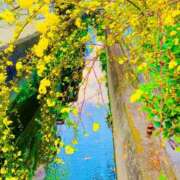 ヒメ日記 2025/06/22 11:53 投稿 愛田いずみ 恋する奥さん 西中島店